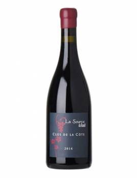 La Source du Ruault - Clos de la Côte - Saumur Champigny 2017