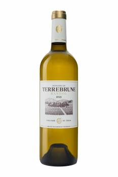 Domaine de Terrebrune - Bandol blanc 2023