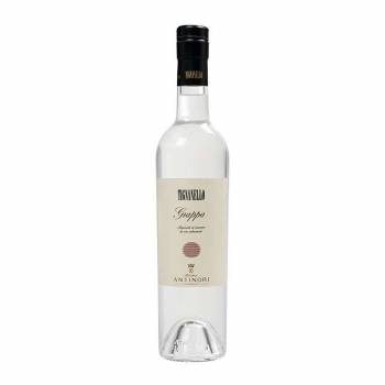 Grappa Tignanello - Marchesi Antinori