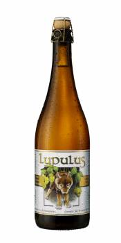Lupulus Triple 8.5% - Bière blonde Belge 75cl