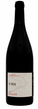 Domaine Timothée Delalle - PI.1953G - Gamay 2020