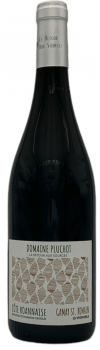 Domaine Pluchot Le Retour aux Sources - Le Vignoble - Côte Roannaise rouge 2020