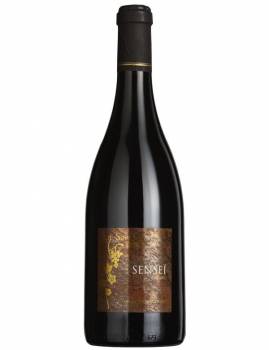 La Source du Ruault - Sensei - Saumur Champigny 2016