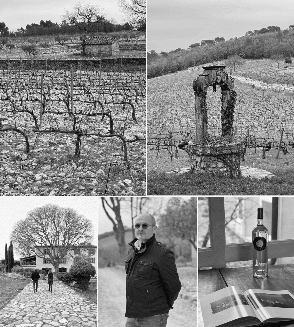 Vignobles et vignes Chateau La Mascaronne Provence
