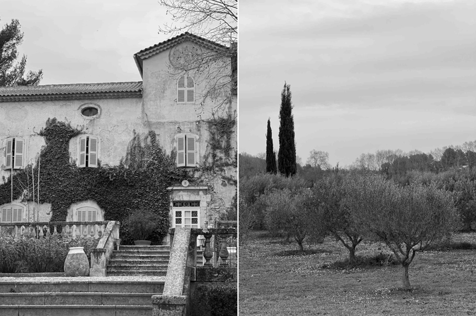 Vignoble Chateau Les Mesclances Cotes de Provence