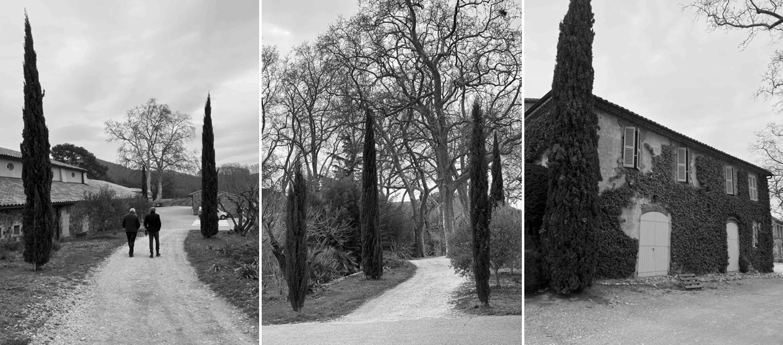 Visite Chateau Les Mesclances Provence