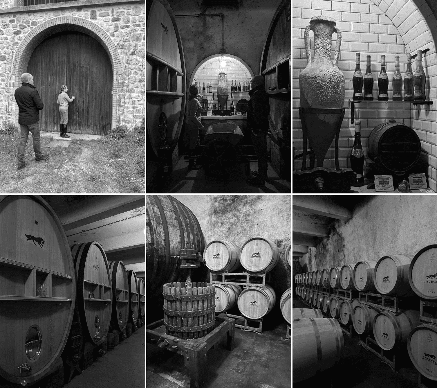 Cave et chai historique Domaine du Jas d'Esclans Provence